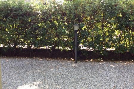 Residence Apuamare Pietrasanta Dış mekan fotoğraf